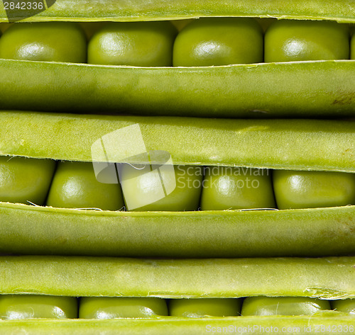 Image of Green peas and pods