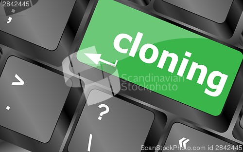 Image of cloning keyboard button on computer pc