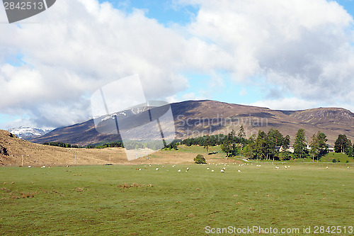 Image of Carn Dubh hill, Scotland in Spring