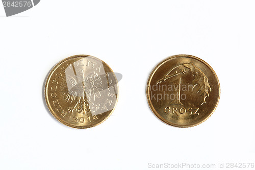 Image of  Polish money