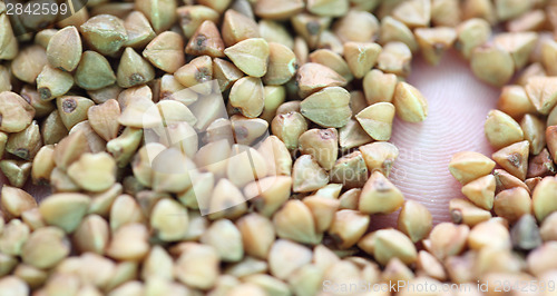 Image of buckwheat