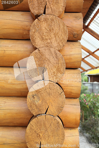 Image of Logs 