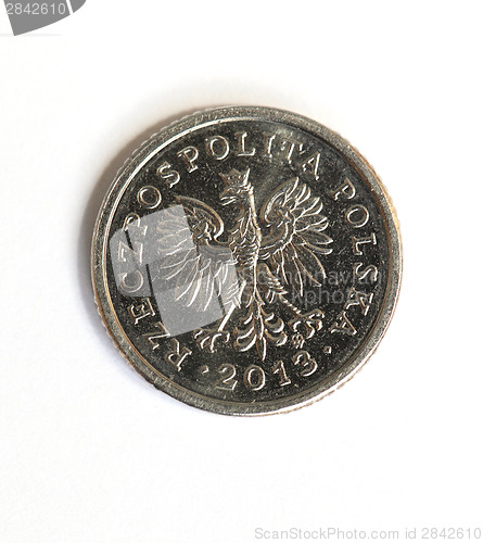 Image of Polish money