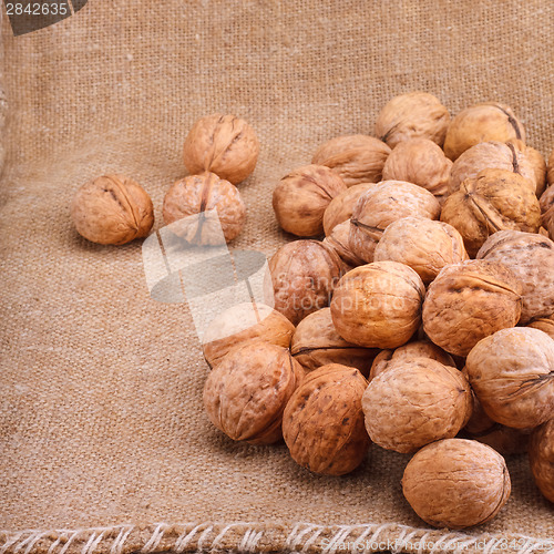 Image of Walnuts Close-up On The Sackcloth Background 