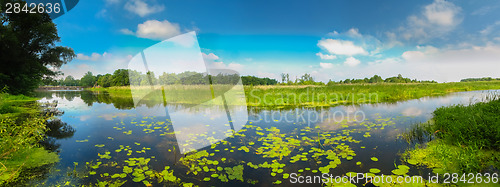 Image of View On The Bog. Grass And Water.