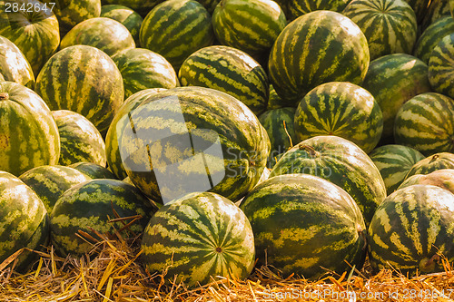 Image of Watermelons