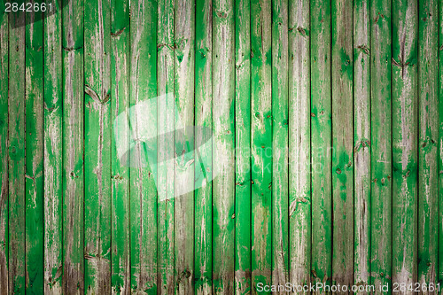 Image of The Grunge Wood Texture With Natural Patterns