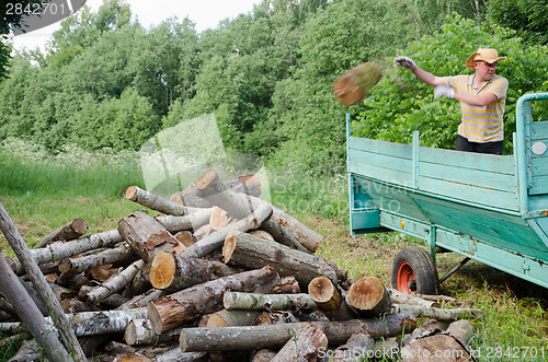 Image of farmer man unload tree logs firewood from trailer 