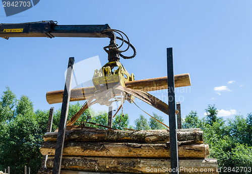 Image of forestry cutter loading cut logs in pile trailer  