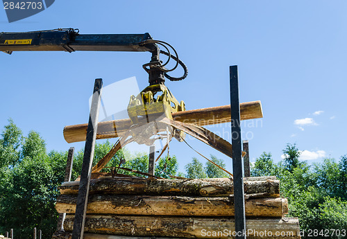 Image of forestry cutter loading cut logs in pile trailer  