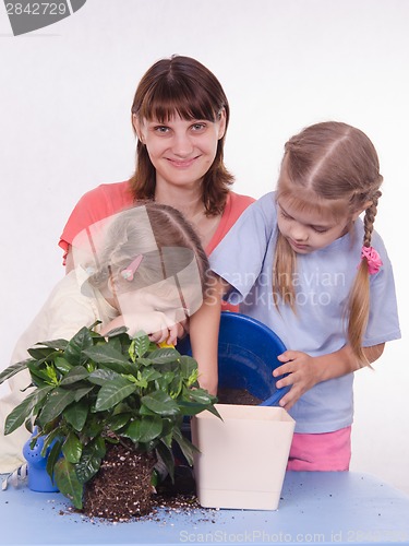 Image of Mom and two daughters poured earth into a pot