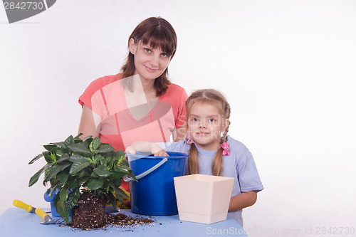 Image of Family transplant houseplant