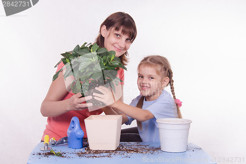 Image of Mother and daughter transplanted flower room