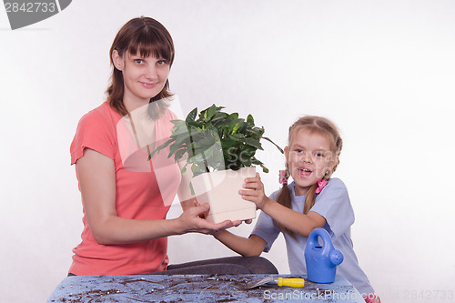 Image of Mom and daughter holding hands in the flower room