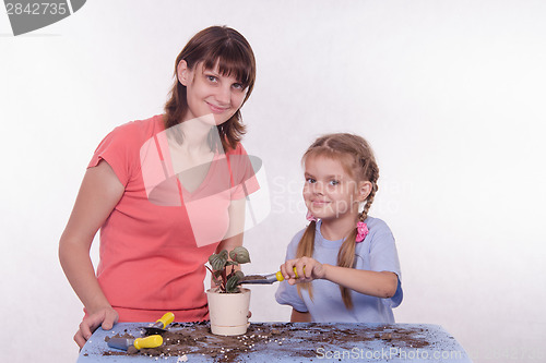 Image of Daughter pours ground in a pot with potted flower