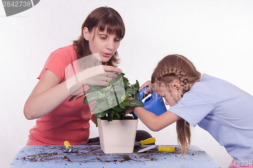 Image of Mom and daughter watering flower room