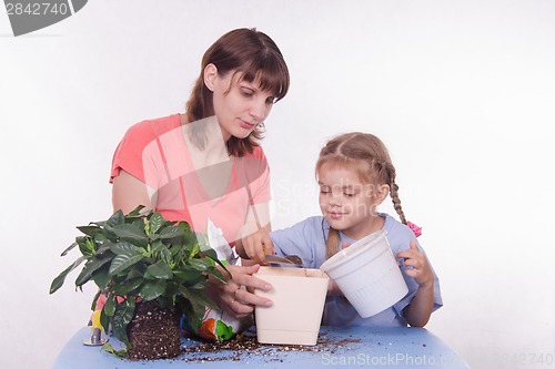 Image of Mother and daughter pour small pot of earth in large