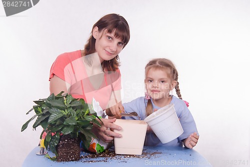 Image of Mother and daughter are transplanted from a small flower