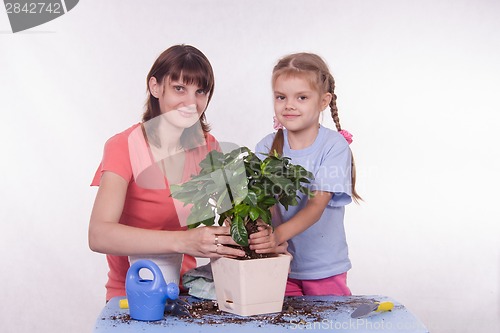 Image of Mom and daughter planting new houseplant in a pot