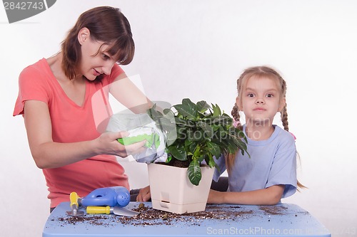 Image of Mom sleeps in the ground with a plant pot