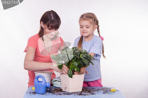 Image of Mom and daughter put a houseplant in pot