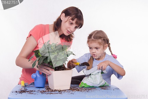 Image of Mom teaches daughter to fall asleep in ground