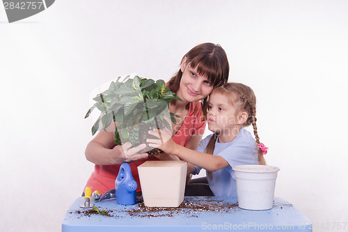 Image of Mom shows daughter of transplant flower pot in another