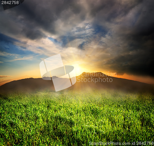 Image of Green grass in mountains