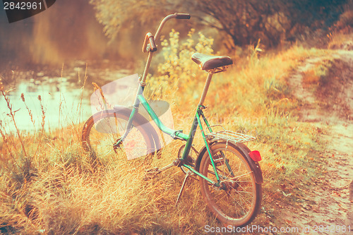 Image of Little green bicycle standing on yellow autumn meadow