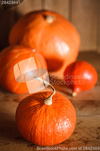 Image of Pumpkins on grunge wooden backdrop background