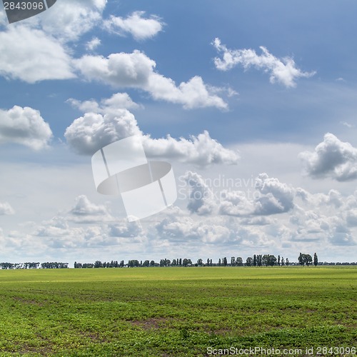 Image of Summer landscape