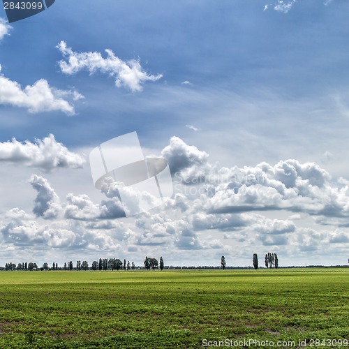 Image of Summer landscape