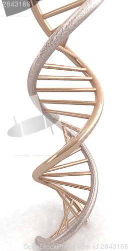 Image of DNA structure model on white 