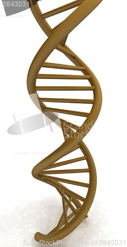 Image of DNA structure model on white 
