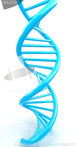 Image of DNA structure model on white 