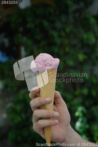 Image of Hand holding pink ice-cream