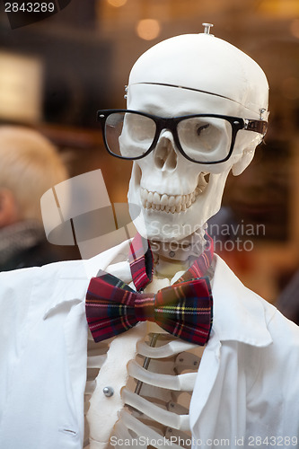 Image of stylish skeleton