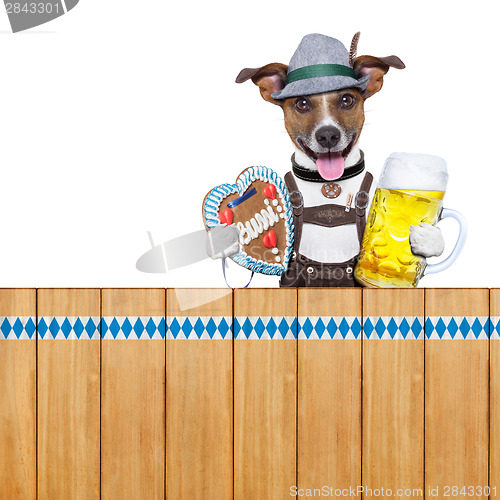 Image of bavarian beer dog