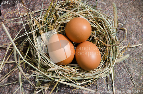 Image of chicken eggs in nest of hay on stone outdoor 