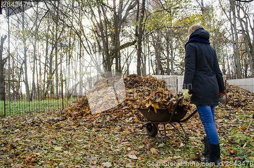 Image of girl brought barrow leaves thrown in compost heap 