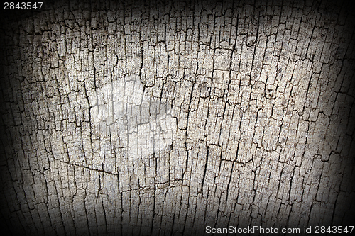 Image of antique  oak wood texture