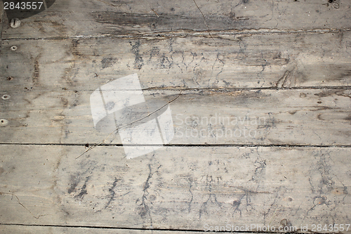 Image of mycelium traces on basement floor