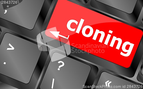 Image of cloning keyboard button on computer pc