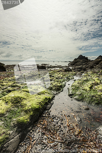 Image of Beautiful seascape on low tide