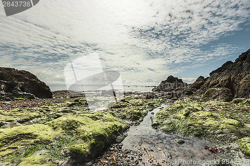 Image of Beautiful seascape on low tide