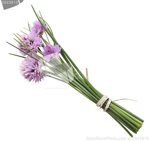 Image of Chives With Flowers