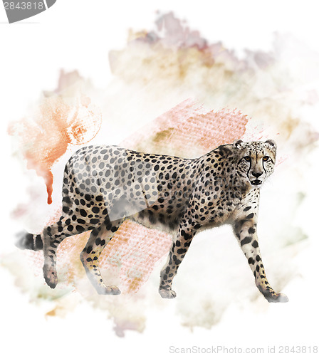 Image of Watercolor Image Of Cheetah