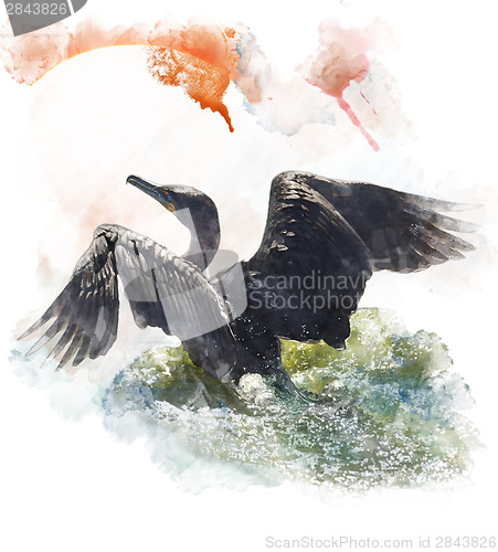 Image of Watercolor Image Of  Double-crested Cormorant