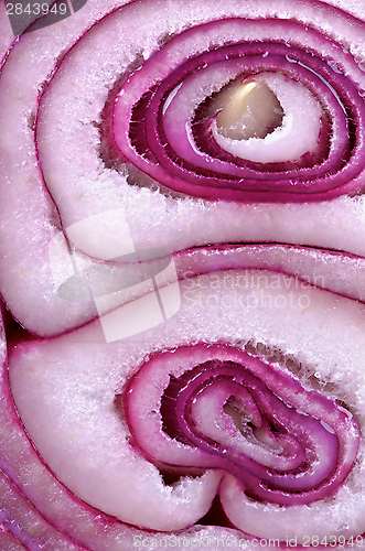 Image of Red Onion Background