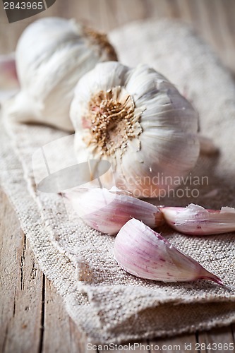 Image of fresh garlic 